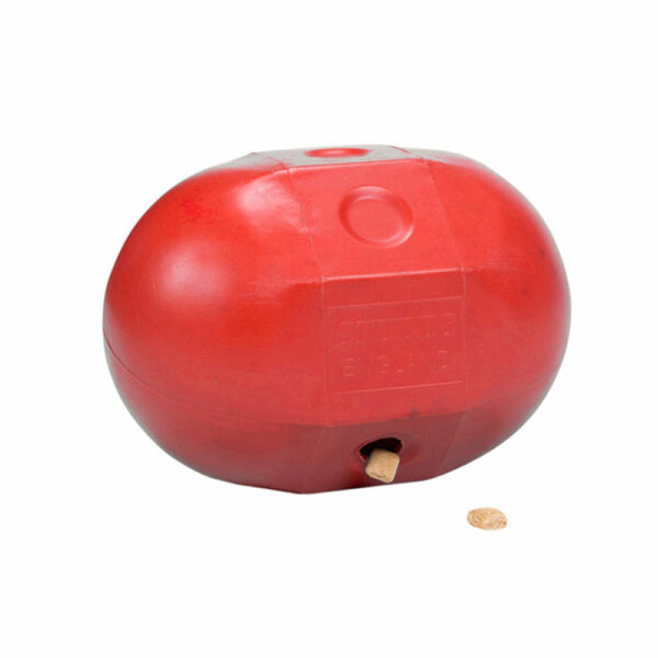 import placeholder for 219