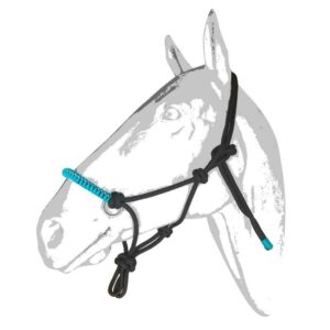 Cabezada de nudos con cristal