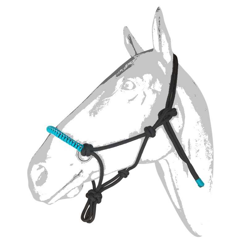 Cabezada de nudos con cristal