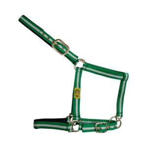 Cabezada de nylon con forro de elastotex