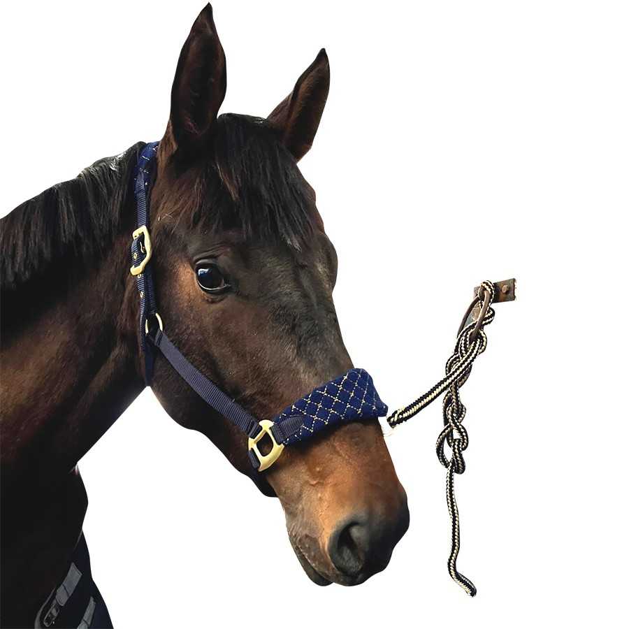 Cabezada de nylon con forro polar y ramal a juego