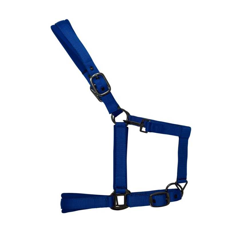 Cabezada de nylon con refuerzo en neopreno, hebilla negra