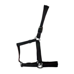 Cabezada de nylon con refuerzo en neopreno, hebilla negra