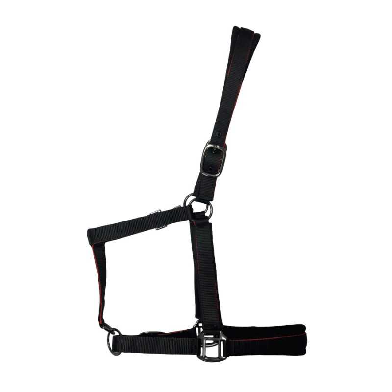 Cabezada de nylon con refuerzo en neopreno, hebilla negra