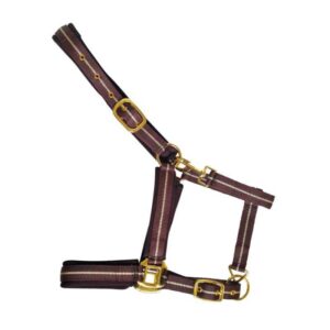 Cabezada de nylon con refuerzo en neopreno