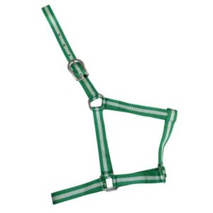 CABEZADA DE NYLON ECONÓMICA