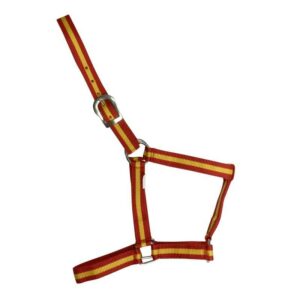 CABEZADA DE NYLON ECONÓMICA