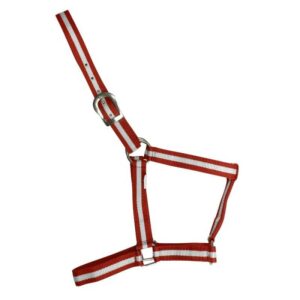 CABEZADA DE NYLON ECONÓMICA