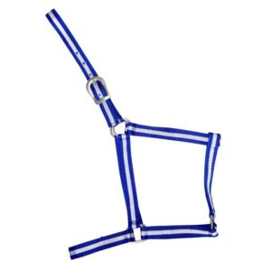 CABEZADA DE NYLON ECONÓMICA