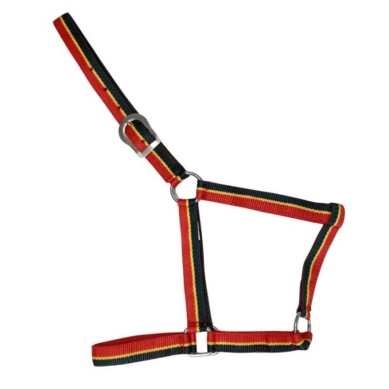 CABEZADA DE NYLON ECONÓMICA