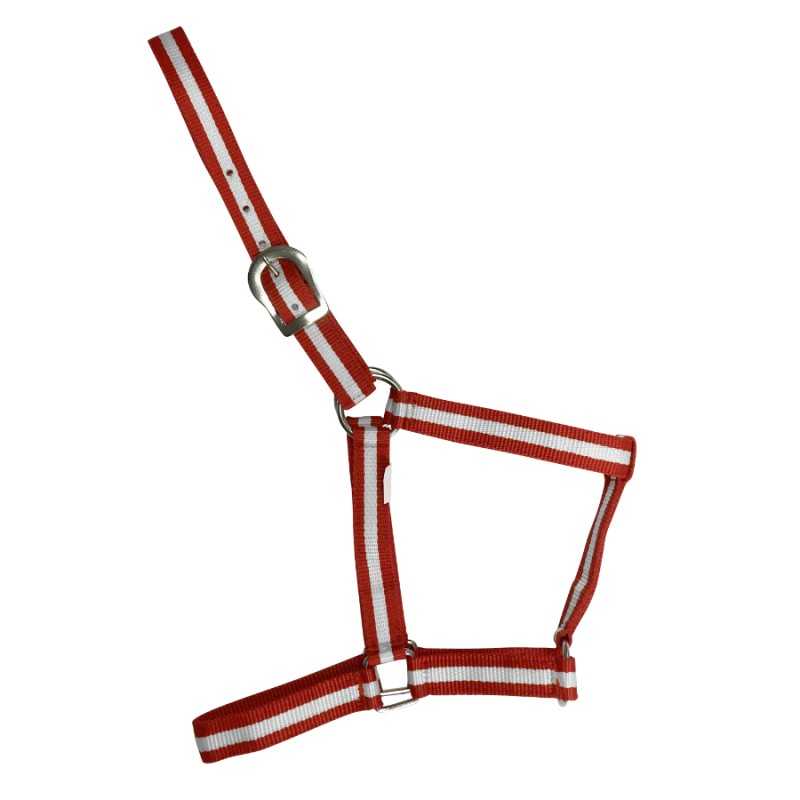 CABEZADA DE NYLON ECONÓMICA