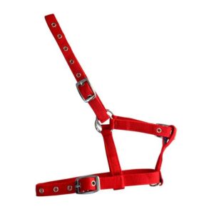 Cabezada de nylon para potro