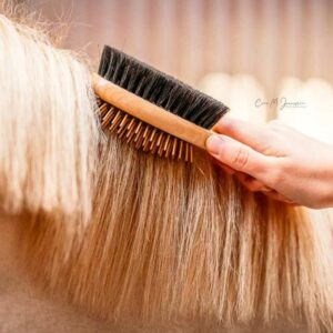 Cepillo doble cola y crines B&E KämmLotte