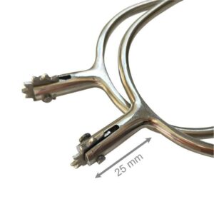 Espuelín portugués gallo recto estrella