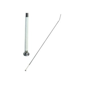 FUSTA DE DOMA CON EMPUÑADURA BLANCA REMATE METAL MONEDA