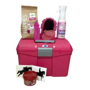 MALETA PARA ÚTILES DE LIMPIEZA COMPLETA