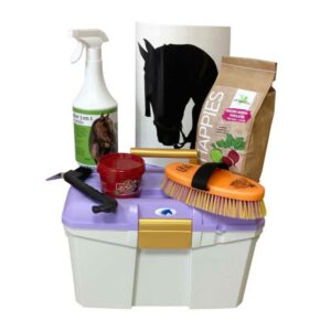 MALETA PARA ÚTILES DE LIMPIEZA COMPLETA PREMIUM