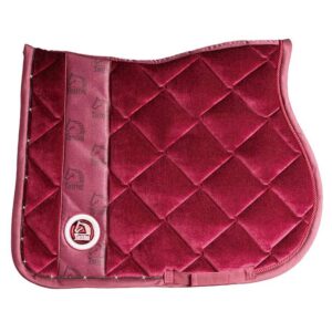 Mantilla Tattini Louvre