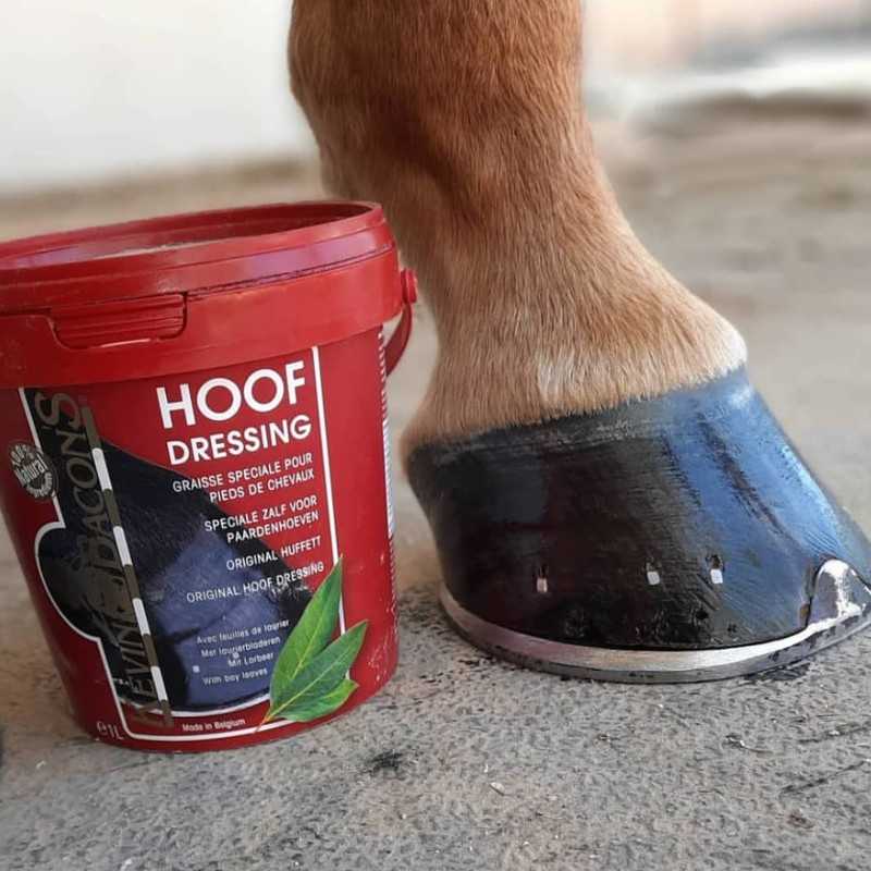 POMADA PARA CASCOS KEVIN BACON'S HOOF DRESSING