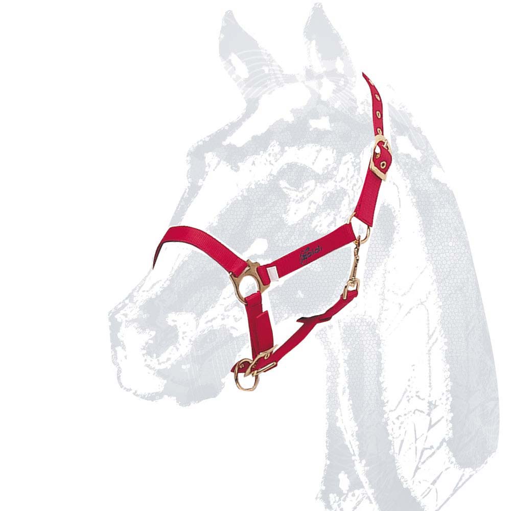 CABEZADA CUADRA CASTECUS NYLON/PVC PONY ROJO