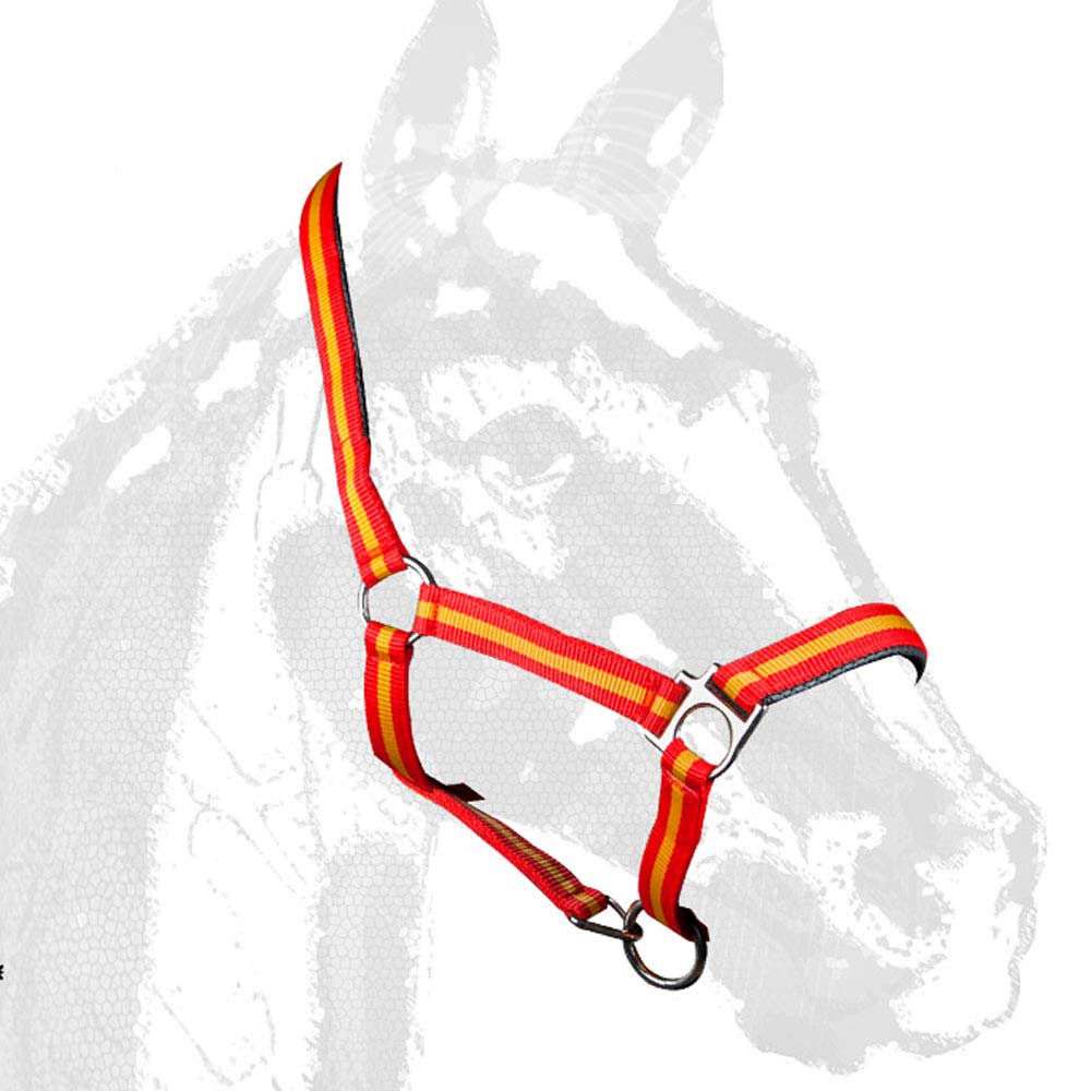 CABEZADA CUADRA CASTECUS NYLON/PVC PONY ESPAÑA