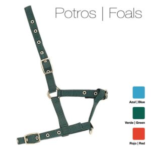 CABEZADA CUADRA NYLON 4018 POTRO VERDE