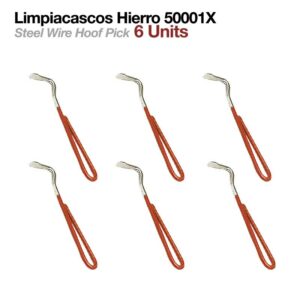 LIMPIACASCOS HIERRO 50001X6uds